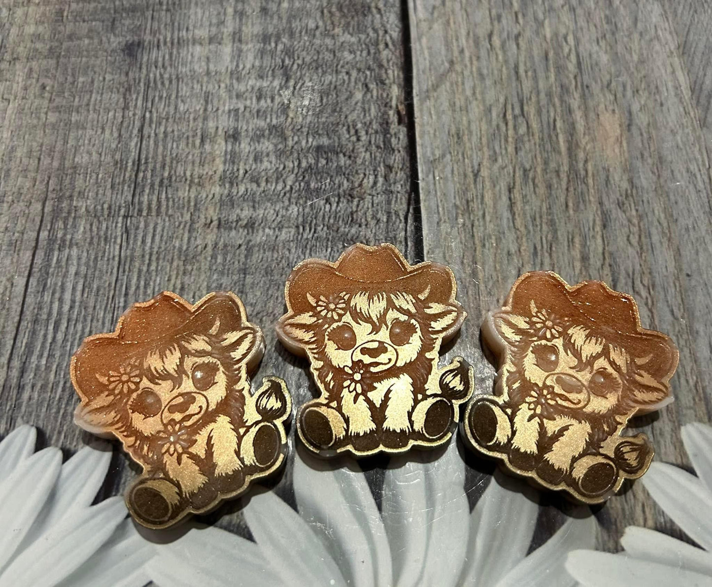 Coogirl shapes trio