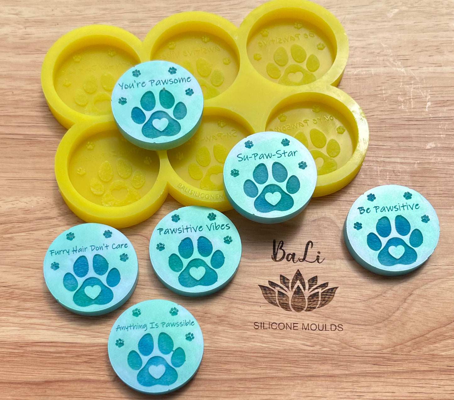 Pawssitive Discs