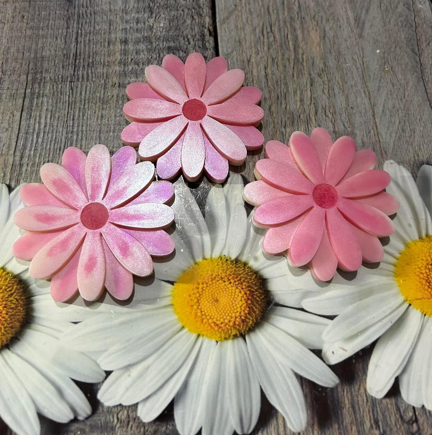 Daisy Flower Trio