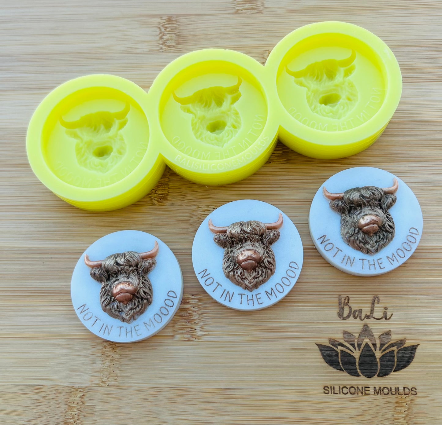 3D NOT IN THE MOOOD DISCS