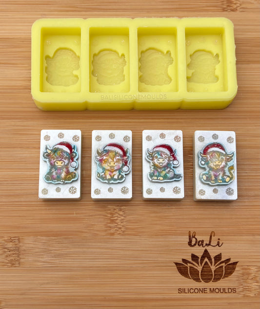 Christmas Coo Blocks