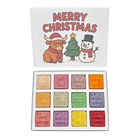 Christmas Highland Coo Scene 12 Section Advent Box